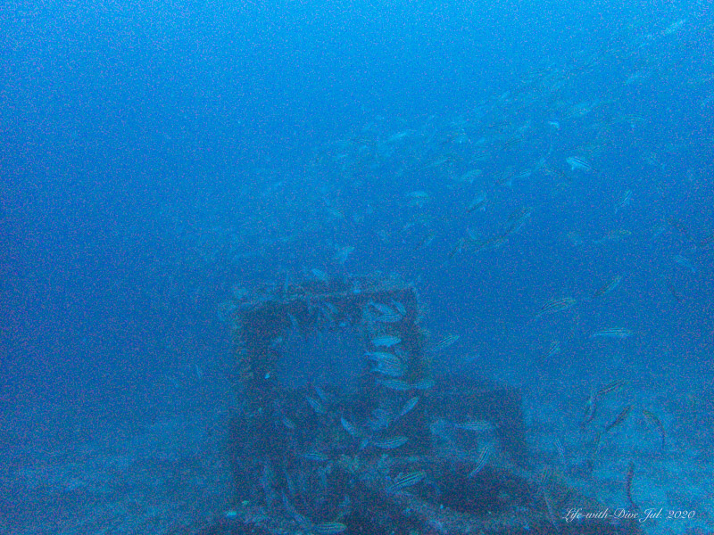 高知沖の島赤崎No.3で撮影した魚礁とイサキの群れ